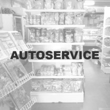 autoservice